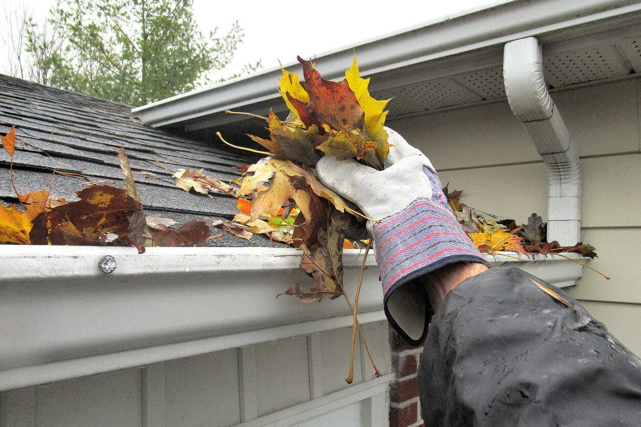 Hand pulling leaves out of a gutter to clean it