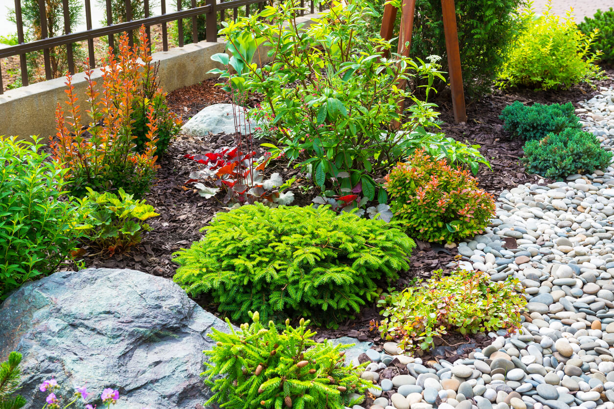 Garden with small rocks lining the pathway and larger rocks filling in the space between plants