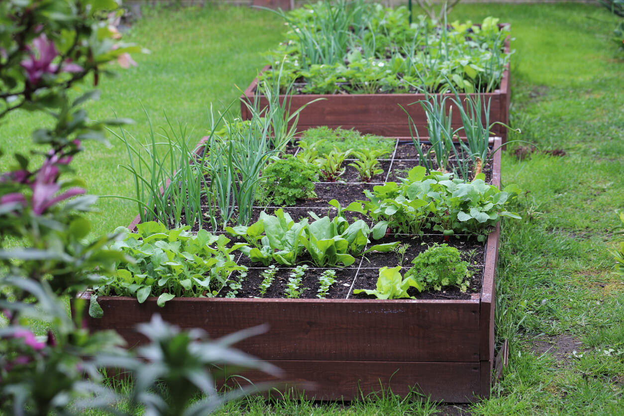 Raised planter beds with 