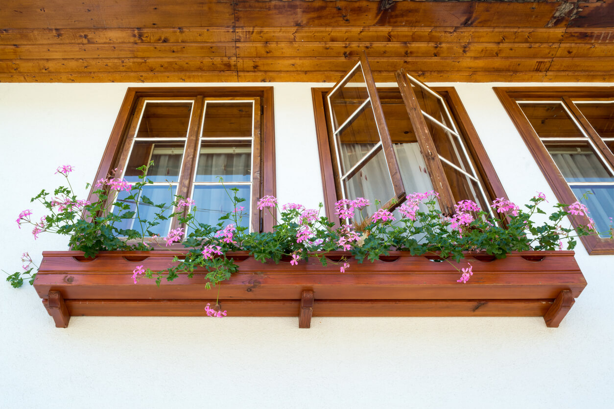 View from below of a white home with wood trim on the windows and matching window boxes with purple flowers.