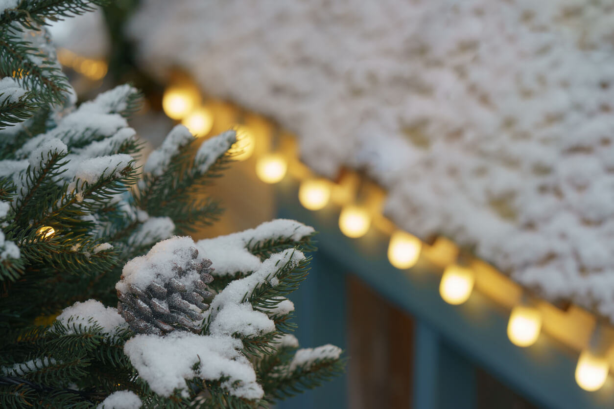 white holiday lights line a roof with snow next to a snow-covered tree