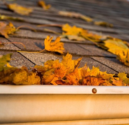 To take care of your roof, there’s something else you need to look at