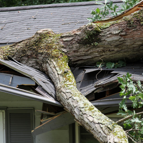 Storm damage to a home roof caused by a fallen tree