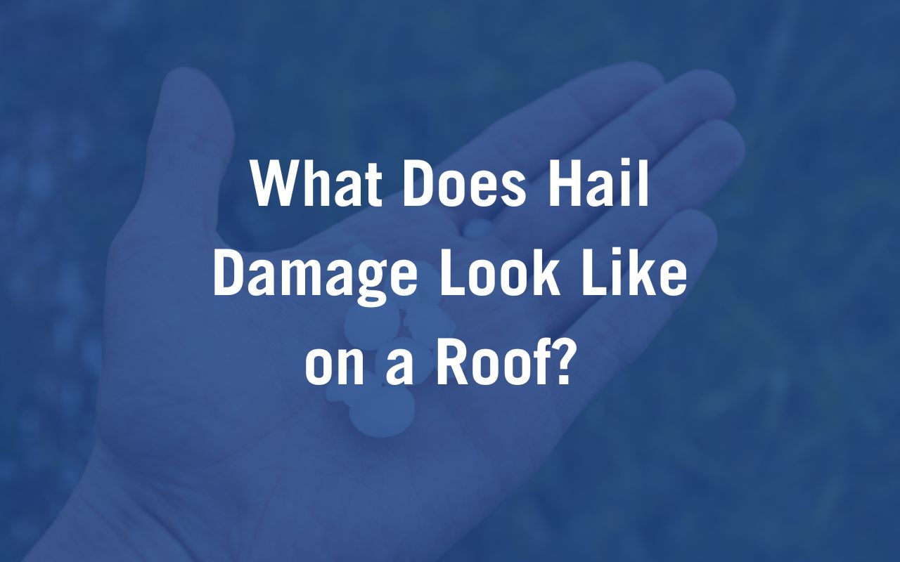 What Does Hail Damage Look Like on a Roof? Title Card